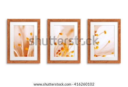 Wooden frames collage with abstract floral motif  posters, special color effects. 