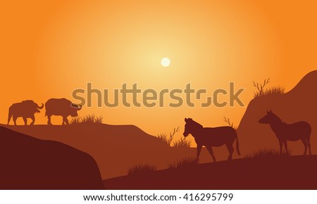 Silhouette of bison and zebra in hills at the afternoon