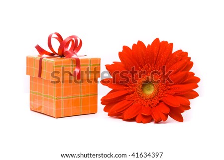Red gerber flower and gift box on white background