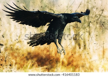 Flying Black raven (Corvus corax) in moonlight. Scary, creepy, gothic setting. Cloudy night. Halloween. Old photograph stylized with scratches and dust. Old, analog photography filter.