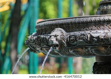 The lion's head on the fountain. Water flows from a fountain