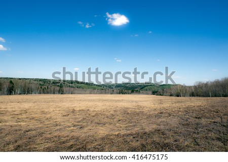 Field with hay on a background of trees and blue sky in spring day