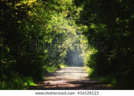 Summer natural background, landscape with stone blocks road and tunnel through the trees in a forest or park, purposely blurred image, imitation of painting, selective focus