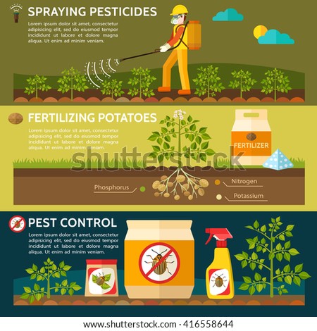 Farmer spraying pesticides on potato field. Fertilizing potatoes. Colorado potato beetle. Pest control. Vector illustration.   Royalty-Free Stock Photo #416558644