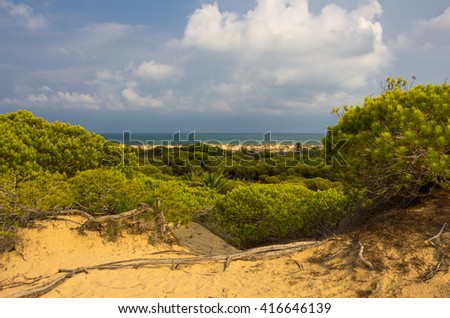 Dunes de La Marina on the coast of Mediterranean sea, Costa Blanca, Spain