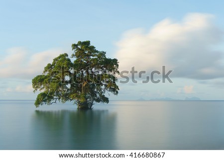 lonely tree at the middle of serene calm seawater taken with long exposure dreamy looks picture.