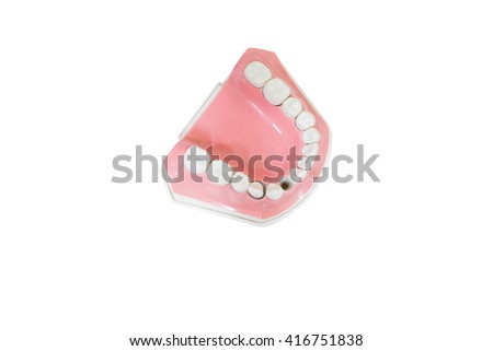 Dental Model of Teeth Open mouth, and broken tooth Lower molar, Isolated on white background clipping path Royalty-Free Stock Photo #416751838
