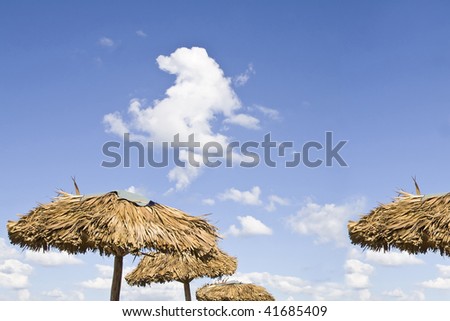 picture of a tropical holidays