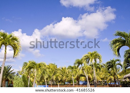 picture of the tropical vacation