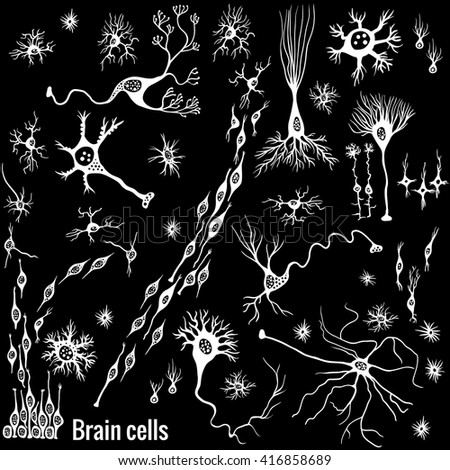 Various types of brain cells, doodle background for your science, medicine or education-related design.