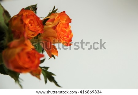 orange roses bouquet with free space for text