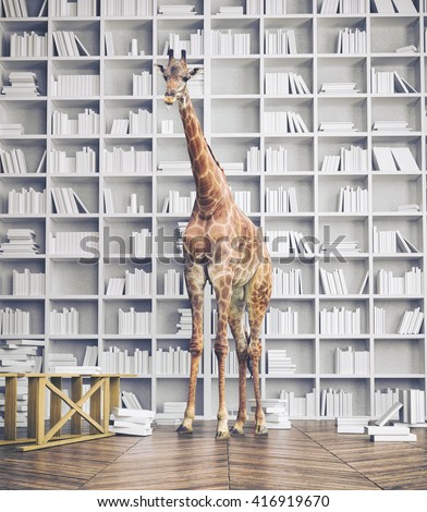 giraffe in the room with book shelves. Creative photo combination concept