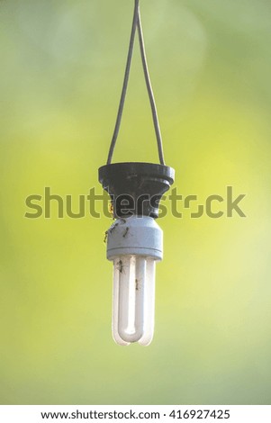 Light bulbs hanging on a electricity wire