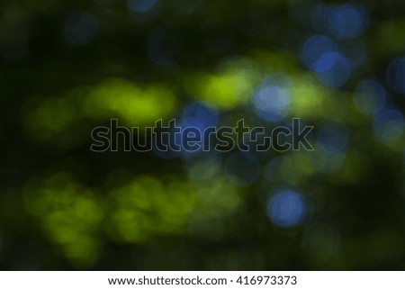 green bokeh in forest,nature background