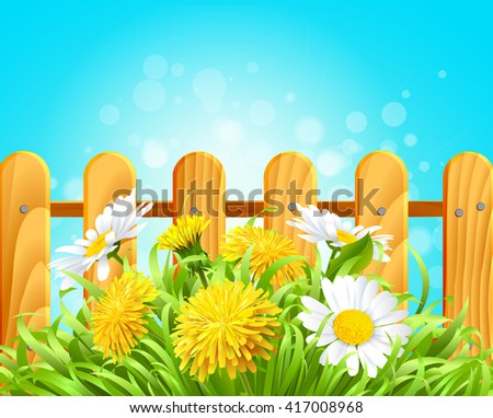 Vector illustration of summer background daisies and dandelions in the grass