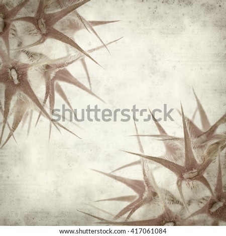 textured old paper background with starry clover,  Trifolium stellatum seedheads