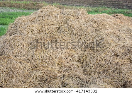 Cluster straw