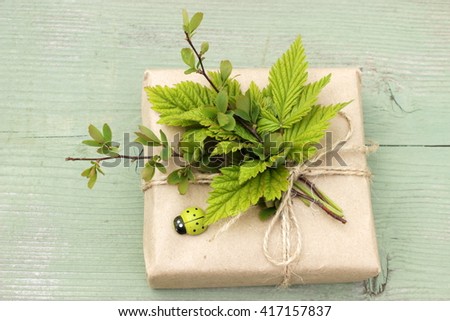 Cute and simple gift box wrapped with brown craft paper and decorated with natural plants. Shabby chic. Rustic design. Green color