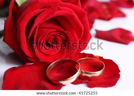 Scarlet rose with wedding rings Royalty-Free Stock Photo #41725255
