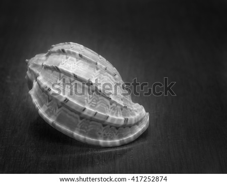 Beautiful background with a seashell and wooden texture. Photo toned.