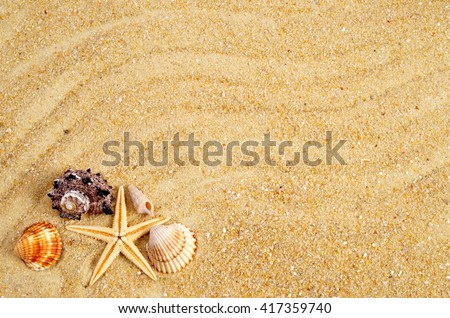 Summer background. Holiday season. Marine life. Card with sand and shells, copy space. Time for holiday. Royalty-Free Stock Photo #417359740