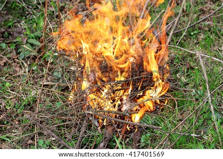 The fire, which ignited in the forest. A fire made of dry twigs on the green grass.