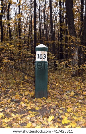 wooden column numbers indicated in the woods