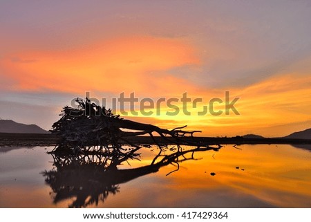 Sunset with silhouette tree and mountain.
