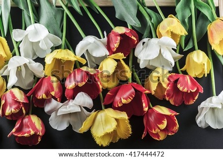 Beautiful composition of a variety of red tulips