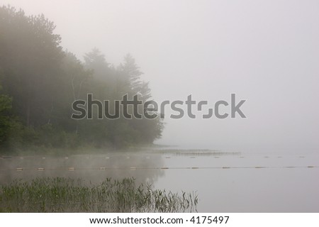 Strong fog above lake in the morning