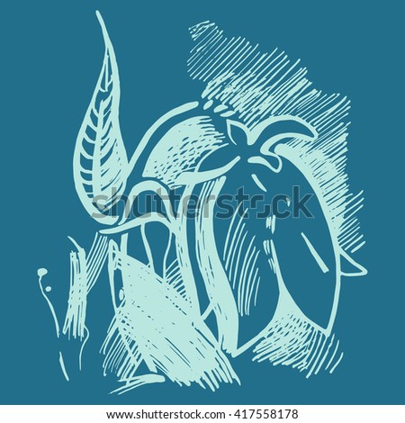 Bluebell flower graphic illustration. Campanula drawing. Harebell vector eps. Hand drawn ink.