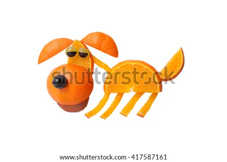 Funny dog made of juicy orange on isolated background