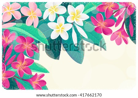 Pink and white frangipani (plumeria) flowers and leaves horizontal template. Retro vector illustration. Tropical background. Place for your text. Design for invitation, banner, card, poster, flyer