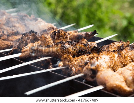 shish kebab on skewers. meat roasted on coals