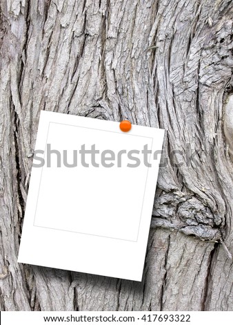 Close-up of one blank instant photo frame with pin on grey tree bark background