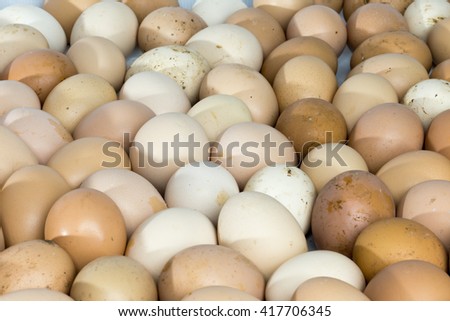 heap of egg
