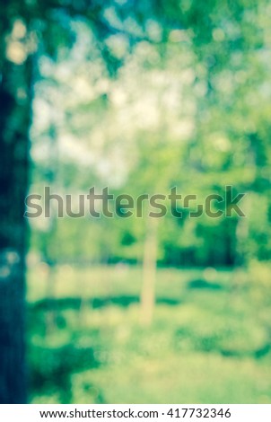 blurred landscape, park