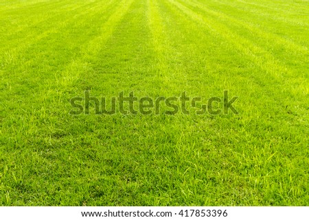 Lawn along with cut marks with different heights. The lawn belongs to a track of a racecourse in Argentina.