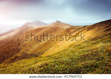 Majestic yellow hills glowing by sunlight a day. Dramatic scene and picturesque picture. Location place Carpathian, Ukraine, Europe. Beauty world. Soft filter, vintage style. Instagram toning effect.
