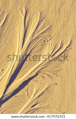 abstract sand ornament on the sea beach