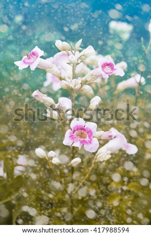 Fresh flowers and
Blossom tree over nature background/ Spring flowers/Spring/dreamy
 Background