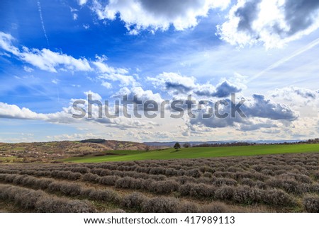 Fields with blue sky and clounds