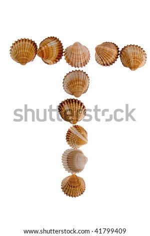 isolated shell letter T - white background,