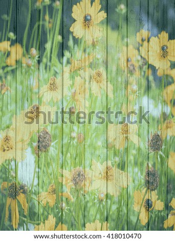Flowers for Love Background wood