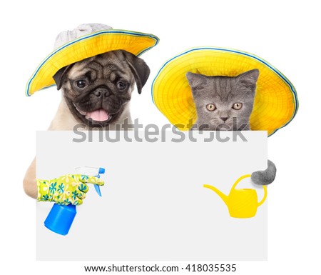 dog and cat with a tool for irrigation peek out from behind a banner