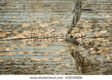 Background of Knotted Wood with Natural Weathered Cracked closeup