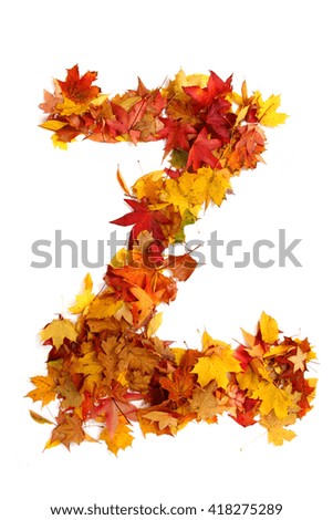 alphabet sign from autumn leaf isolated on the white background