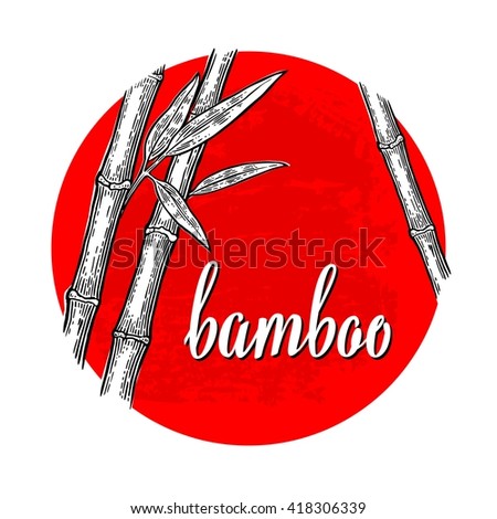 Bamboo trees with leaf white silhouettes and black outline on red circle. Hand drawn design element. Vintage vector engraving illustration for logotype, poster, web. Isolated on background.