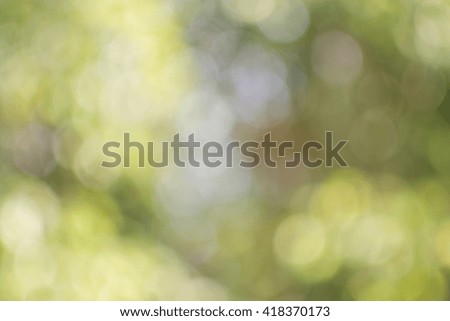 Abstract nature blur background