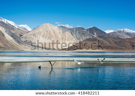 Pangong lake in Ladakh, India